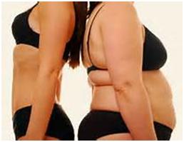 6 Tools for Holistic Weight Loss