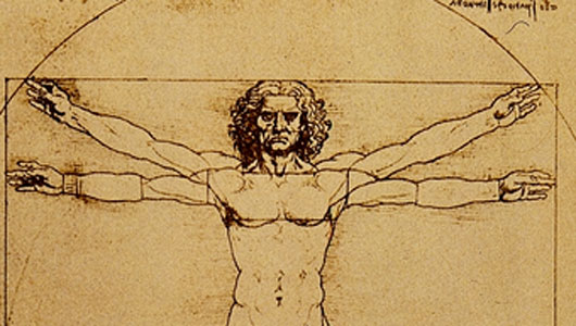 vitruvian man